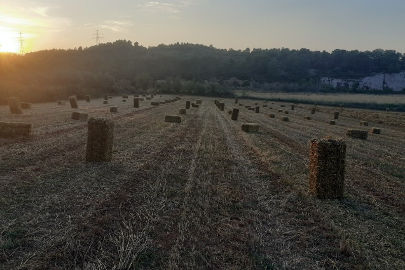 Trabajos agrícolas y desbroces - 1