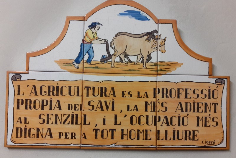 Trabajos agrícolas y desbroces - 2